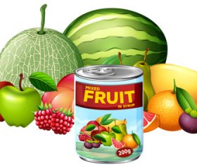 Differt fruits canned vector