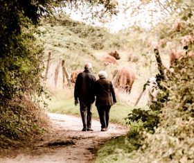 Elderly couple walking on country road Stock Photo