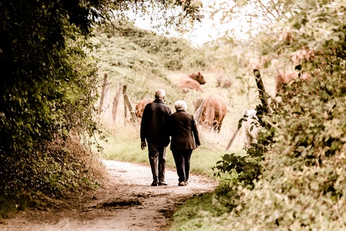 Elderly couple walking on country road Stock Photo