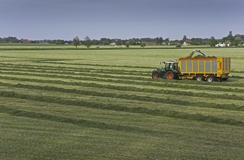 Farmland harvesting Stock Photo