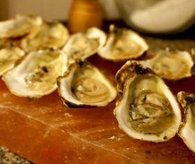 Fresh oysters Stock Photo 04