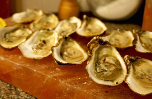 Fresh oysters Stock Photo 04