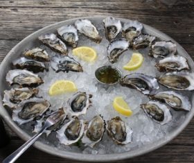 Frozen oysters and lemon Stock Photo 03
