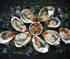 Frozen oysters and lemon Stock Photo 04