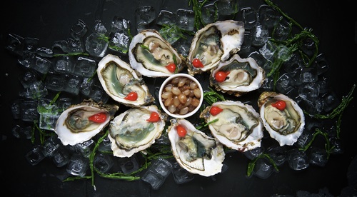 Frozen oysters and lemon Stock Photo 04