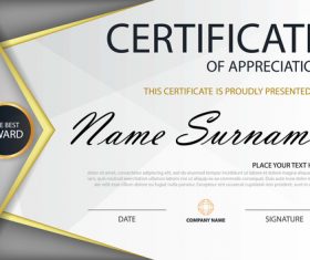 Gray certificate template design vectors