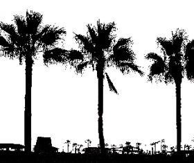 palm tree plan view brush photoshop
