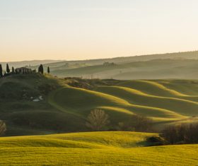 Lush field scenery Stock Photo 01