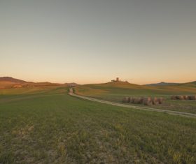 Lush field scenery Stock Photo 02