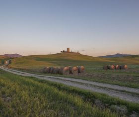 Lush field scenery Stock Photo 03