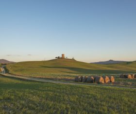 Lush field scenery Stock Photo 04
