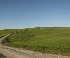 Lush field scenery Stock Photo 05
