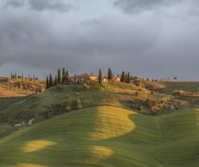 Lush field scenery Stock Photo 06
