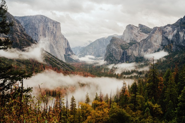 Natural misty forest mountain landscape Stock Photo