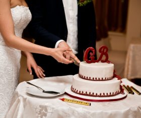 Newlyweds cut cake Stock Photo
