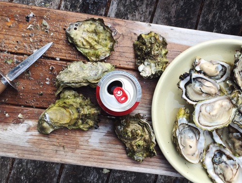 Oysters and drinks on chopping board Stock Photo