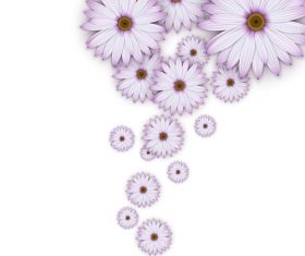 Pink chrysanthemum background vectors 02