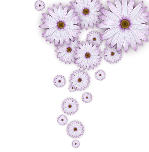 Pink chrysanthemum background vectors 02