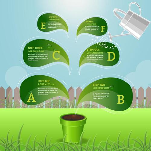 Plant growth infographic template vector