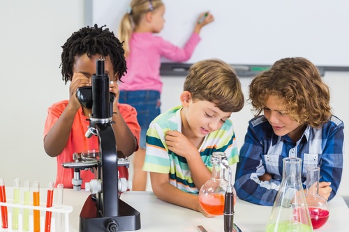 Primary school students in chemistry lab class Stock Photo 01