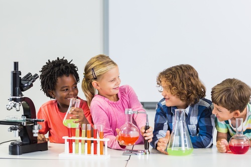 Primary school students in chemistry lab class Stock Photo 06 free download