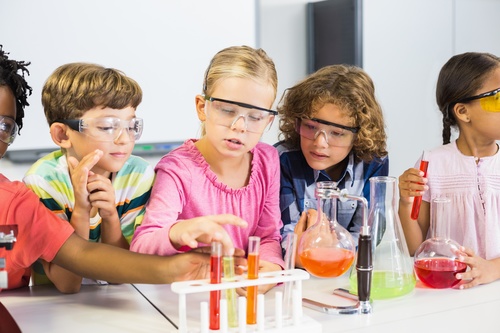Primary school students in chemistry lab class Stock Photo 08 free download