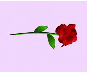 Rose vector