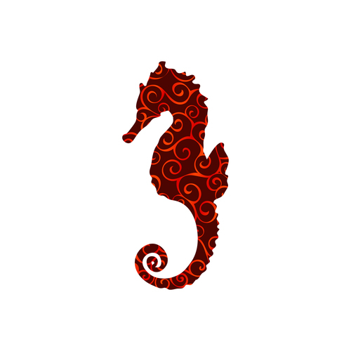 Seahorse spiral pattern design vector