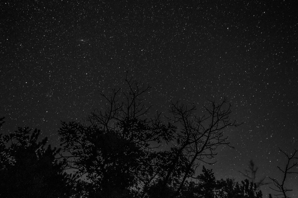 Sparkling starry sky night Stock Photo