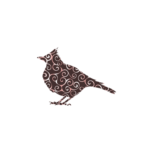 Spiral pattern birds design vector 06
