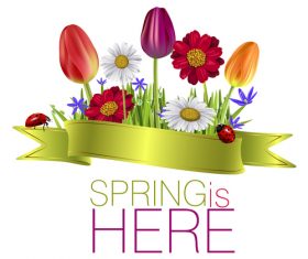 Spring flower with ribbon design vector