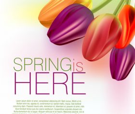 Spring flower with white background art vector 01