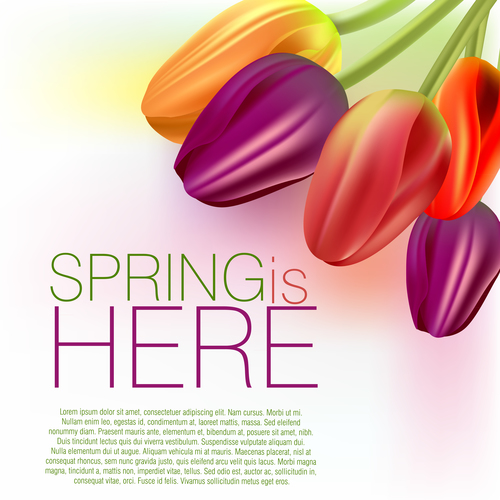 Spring flower with white background art vector 01