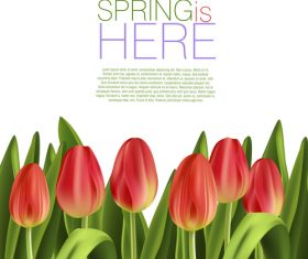 Spring flower with white background art vector 02