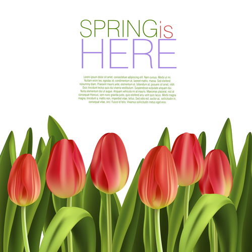 Spring flower with white background art vector 02