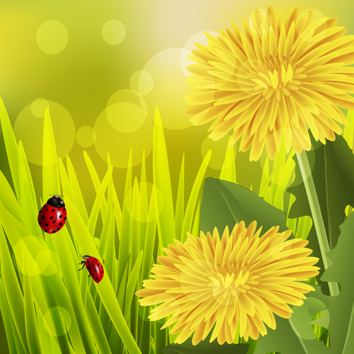 Spring fresh flower and blurs background vector 01