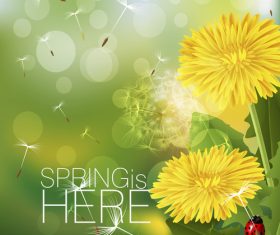 Spring fresh flower and blurs background vector 02