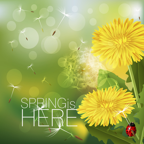 Spring fresh flower and blurs background vector 02