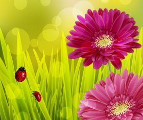 Spring fresh flower and blurs background vector 03