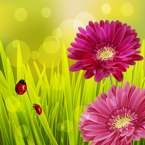 Spring fresh flower and blurs background vector 03