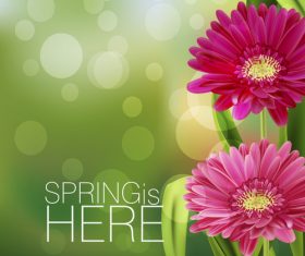 Spring fresh flower and blurs background vector 04