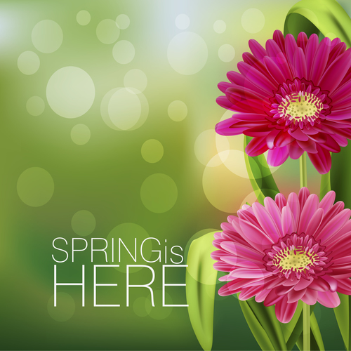 Spring fresh flower and blurs background vector 04