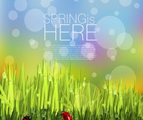Spring fresh flower and blurs background vector 06