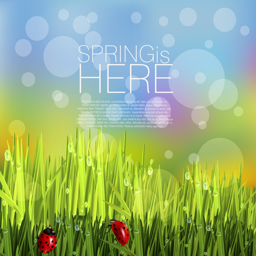 Spring fresh flower and blurs background vector 06