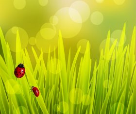 Spring fresh flower and blurs background vector 07