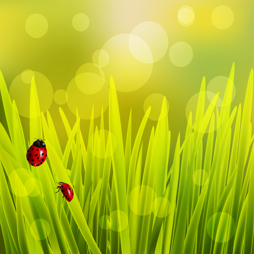 Spring fresh flower and blurs background vector 07
