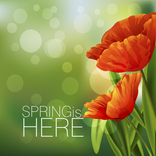 Spring fresh flower and blurs background vector 08