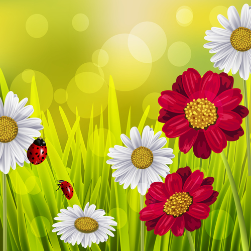 Spring fresh flower and blurs background vector 10
