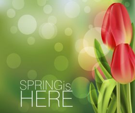 Spring tulip and blurs background vector 01