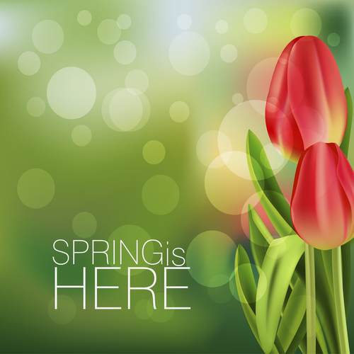 Spring tulip and blurs background vector 01